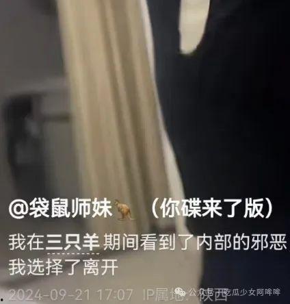 羊家婆媳被爆料视频,羊家婆媳被爆料视频引发热议