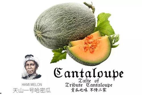 娱乐吃瓜号为什么那么恶心,为何恶臭现象屡禁不止？