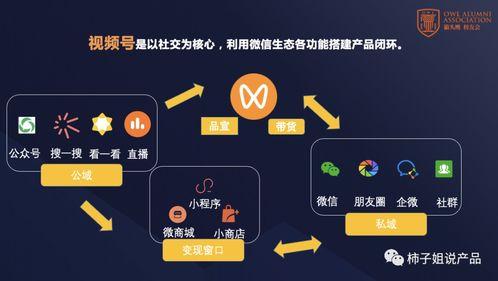 吃瓜娱乐号剪辑技巧分析